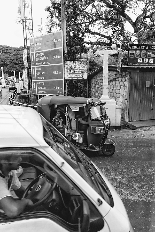 Sri-Lanka - Road  between Ramboda &#38; Kandy #6