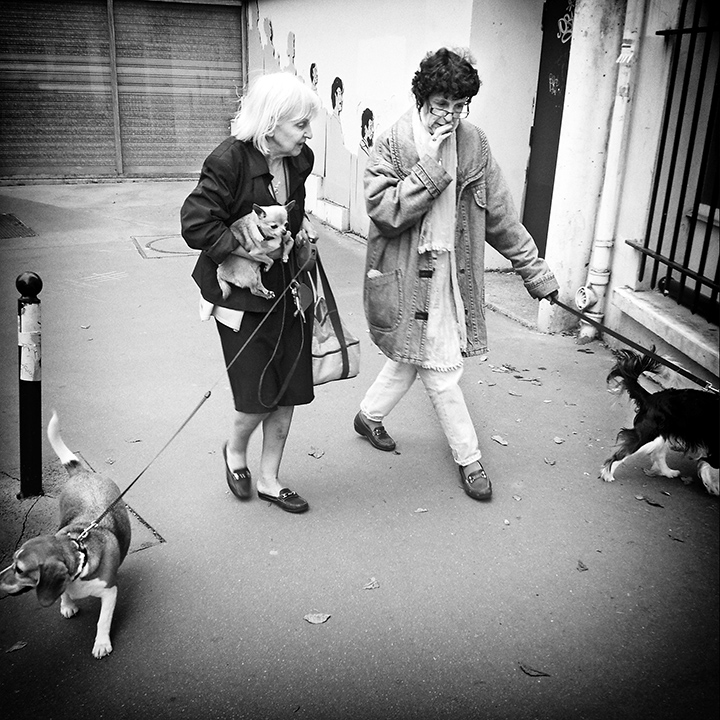 Paris - Rue Jean Calvin 03-07-2013 #01