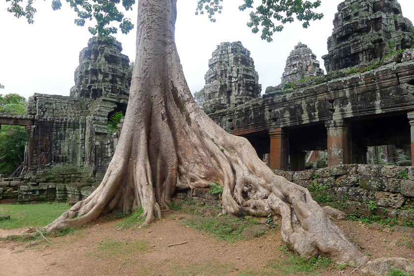 Cambodia - Angkor - Banteay Kdey 09-09-2011 #10
