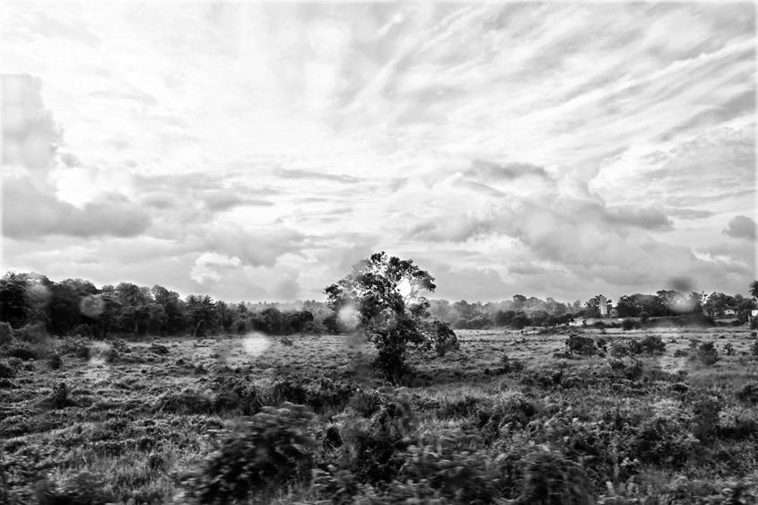 Sri-Lanka - Road from Negombo to Dambulla #01