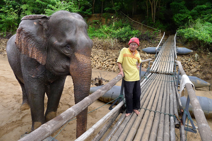 Thailand - Kanchanaburi - The River Kwai Jungle Rafts - Elephants 05-09-2011 #17